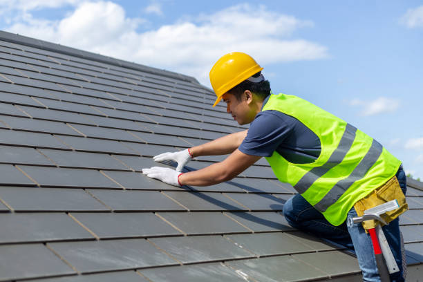 Best New Roof Installation  in Almont, MI