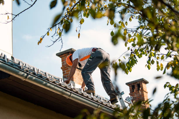 Best Roof Inspection Near Me  in Almont, MI