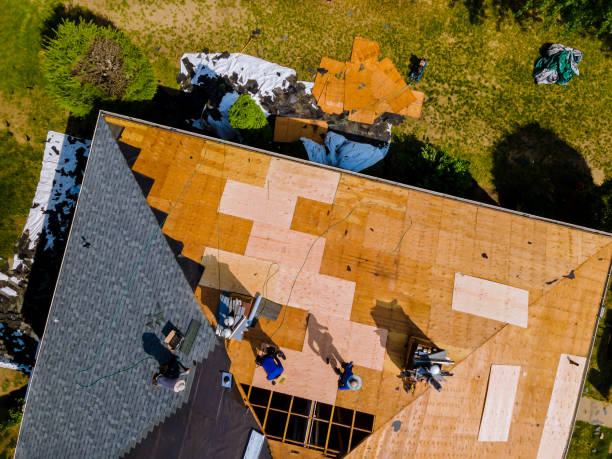 Best Roof Replacement Cost  in Almont, MI
