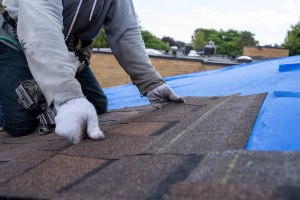 Gutter Installation and Roofing in Almont, MI