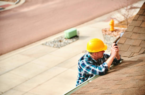 Best Roof Repair Services  in Almont, MI