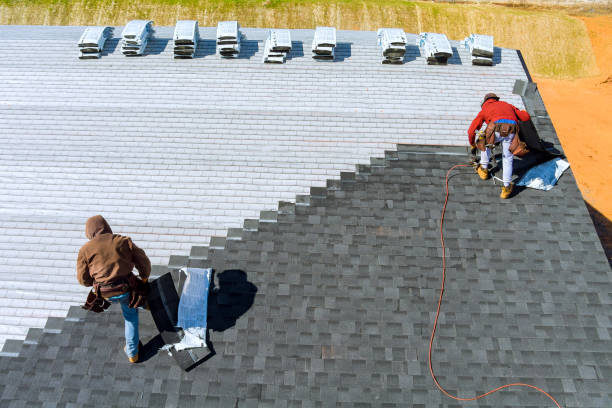 Best Shingle Roofing Installation  in Almont, MI