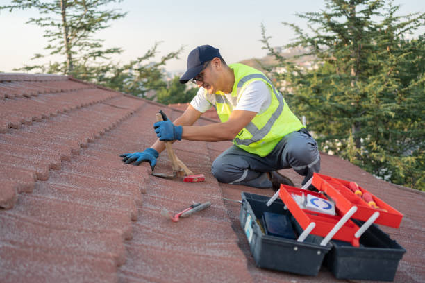Best Storm Damage Roof Repair  in Almont, MI