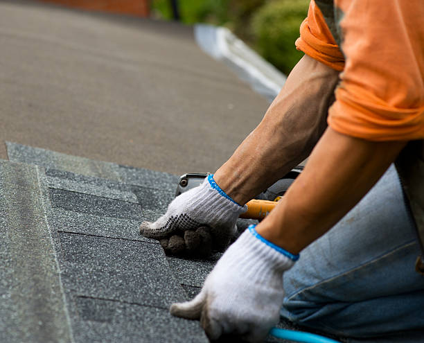Best Metal Roofing Contractor  in Almont, MI