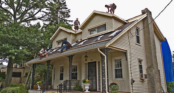 Trusted Almont, MI Roofing Contractor Experts