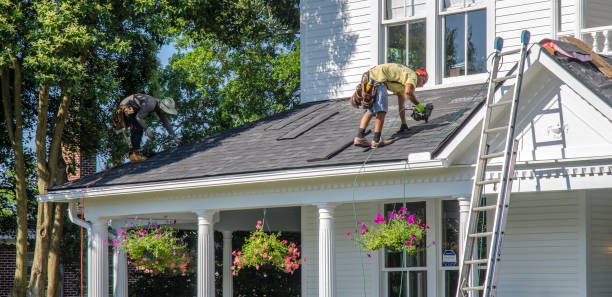 Best Roof Repair Services  in Almont, MI