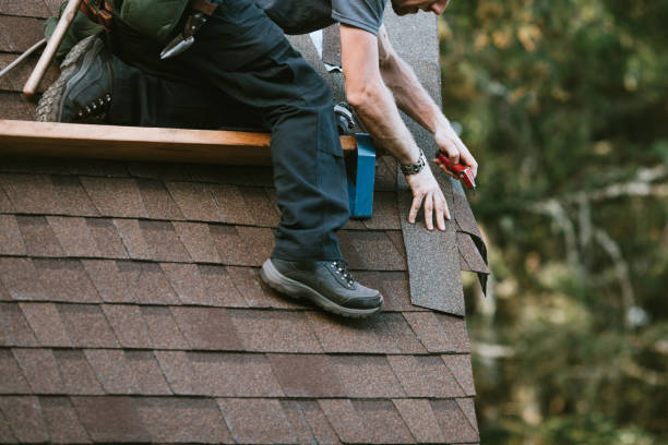 Best Roof Waterproofing Services  in Almont, MI